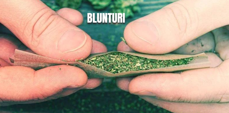 Blunturi